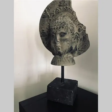 Calme Au Coeur De La Bastide St-louis * Carcassonne